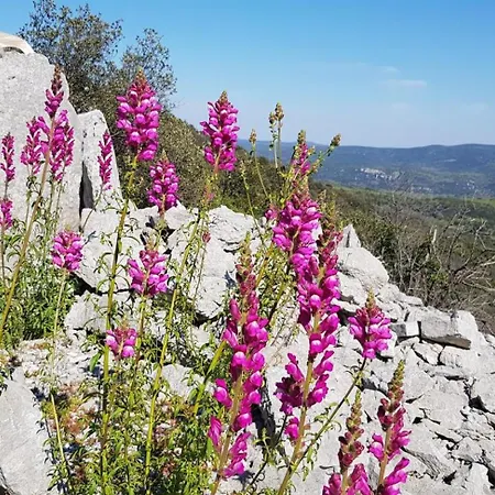 度假居 Bergerie De La Bueges Saint-André-de-Buèges